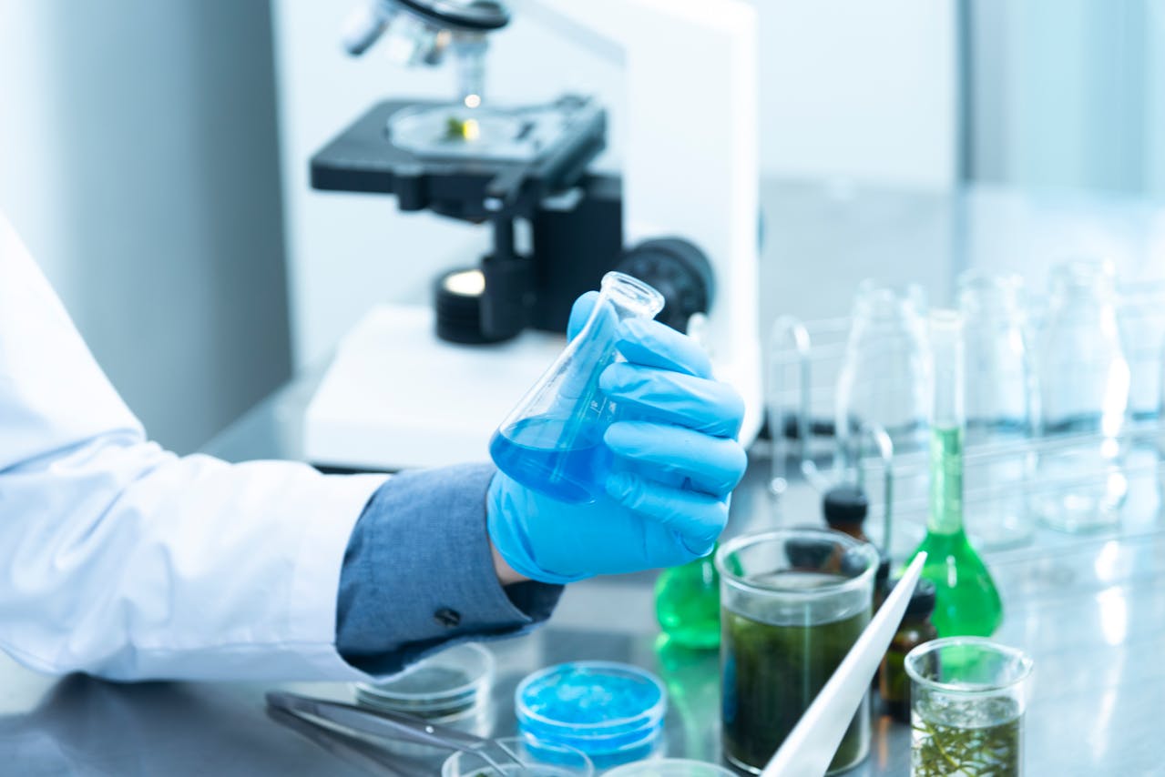 laboratorium 06 2024